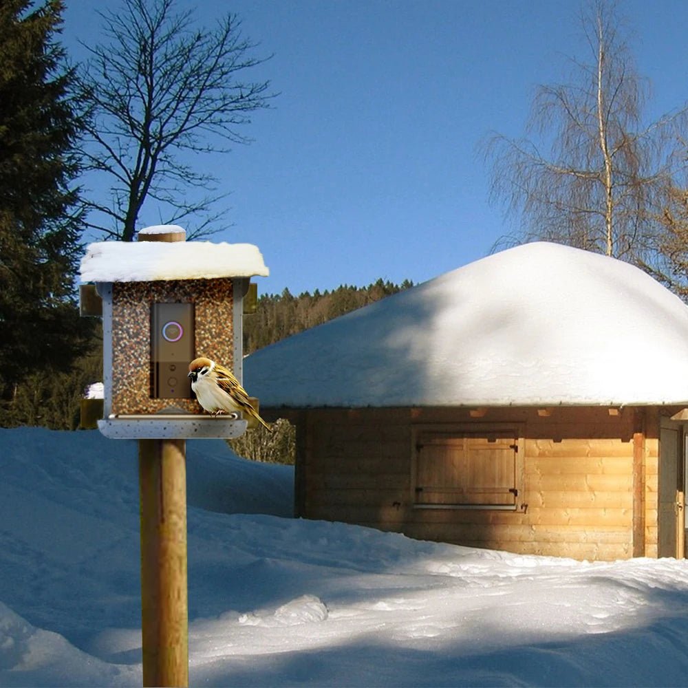 BirdWatch Pro: Smart Feeder with Live Streaming Access
