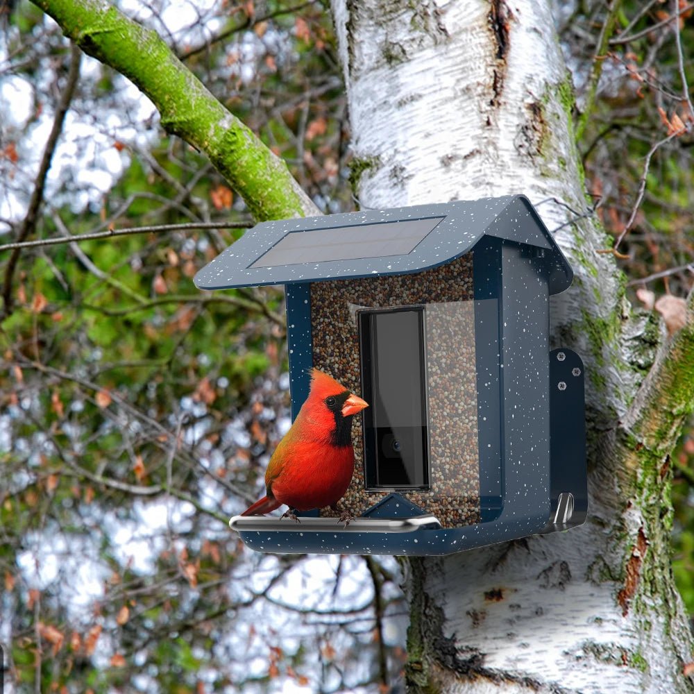 BirdWatch Pro: Smart Feeder with Live Streaming Access
