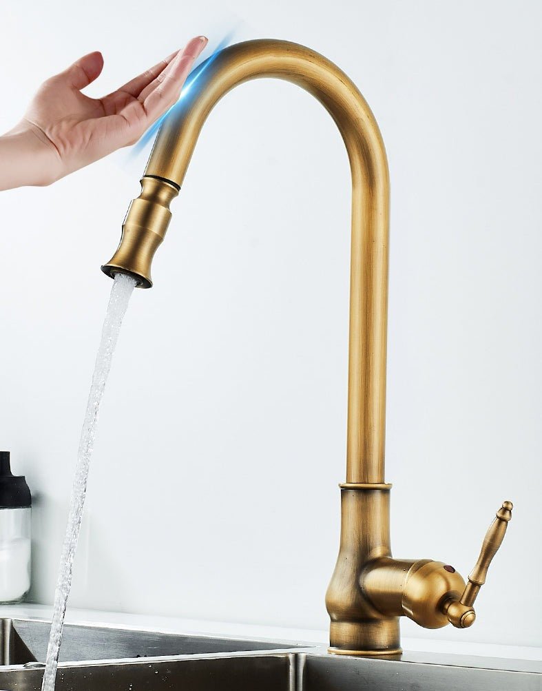 Classic Elegance Pull-Out Kitchen Faucet in Antique Bronze