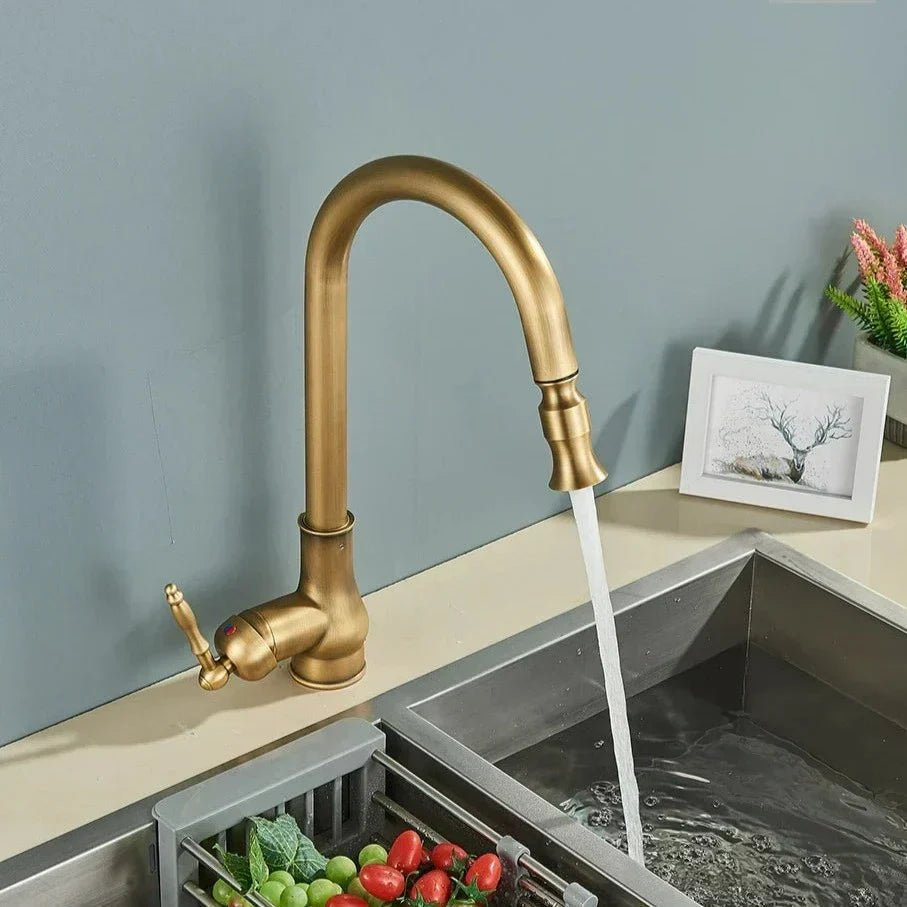 Classic Elegance Pull-Out Kitchen Faucet in Antique Bronze