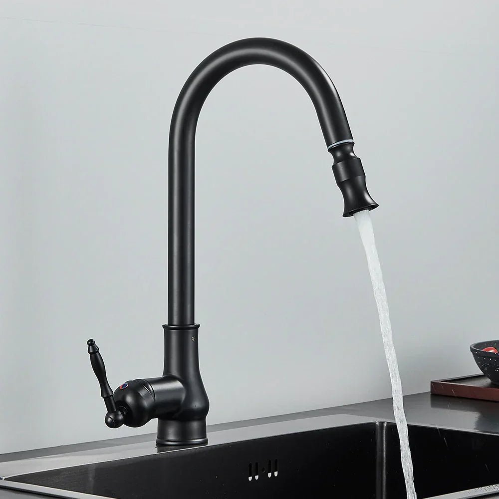 Classic Elegance Pull-Out Kitchen Faucet in Antique Bronze