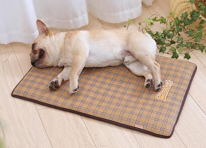 Dog Cooling Mat with Non-Slip Base | Portable Summer Comfort