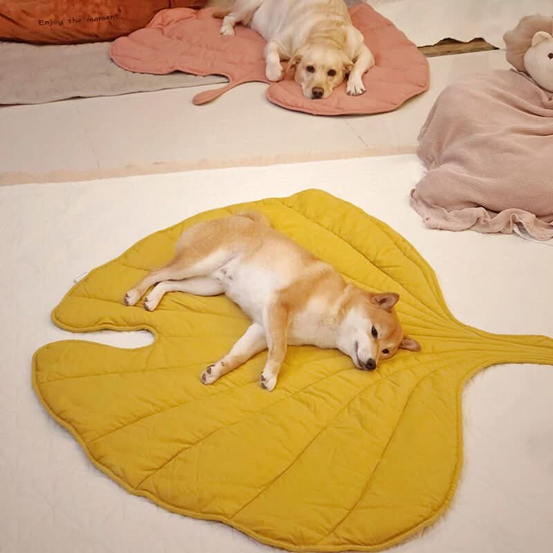 CozyLeaf Pet Blanket: Plush and Stylish Comfort for Dogs