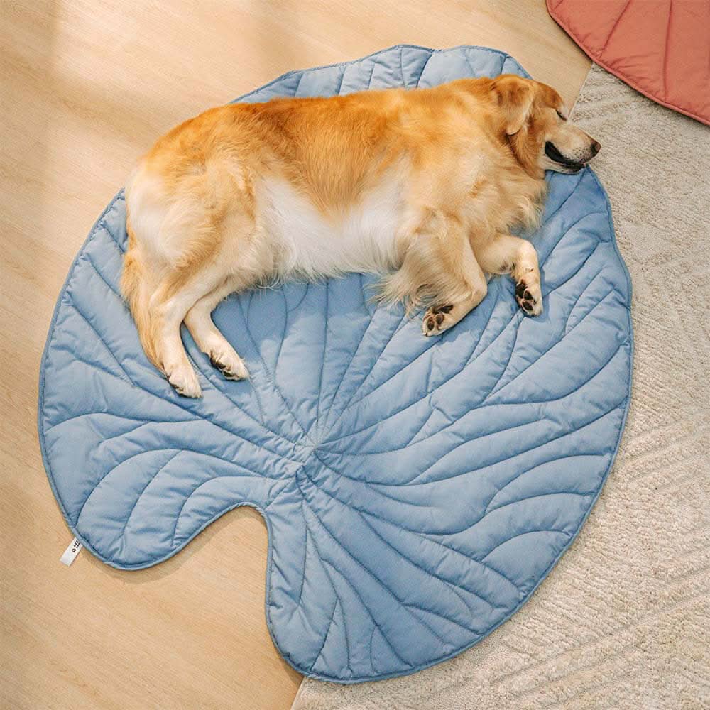 CozyLeaf Pet Blanket: Plush and Stylish Comfort for Dogs
