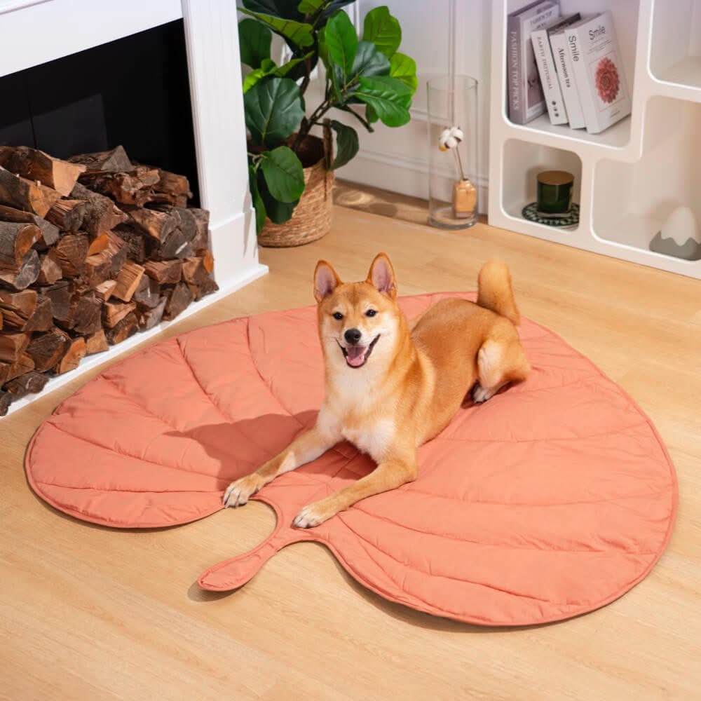 CozyLeaf Pet Blanket: Plush and Stylish Comfort for Dogs