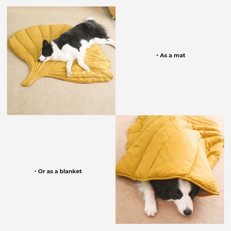 CozyLeaf Pet Blanket: Plush and Stylish Comfort for Dogs