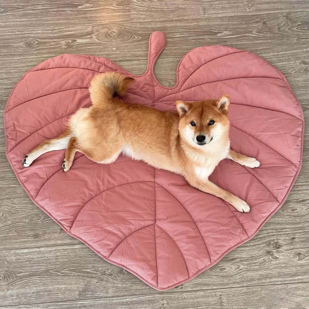 CozyLeaf Pet Blanket: Plush and Stylish Comfort for Dogs
