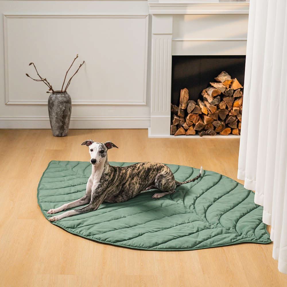CozyLeaf Pet Blanket: Plush and Stylish Comfort for Dogs