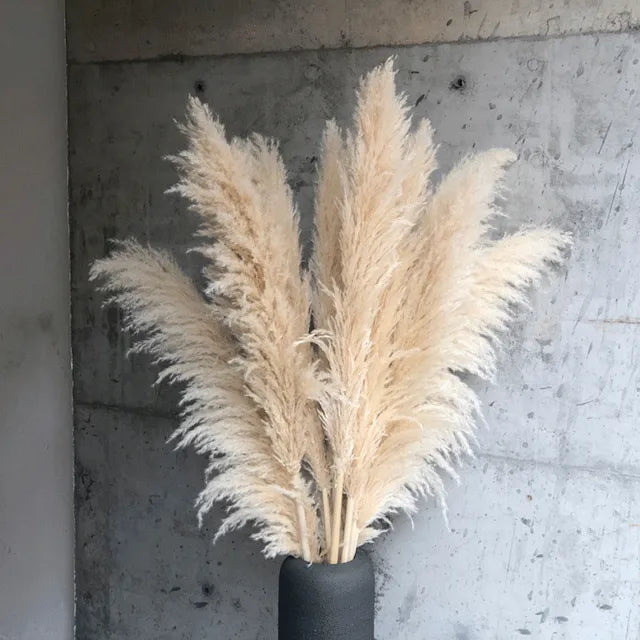Natural Dried Pampas Grass for Elegant Home Decor