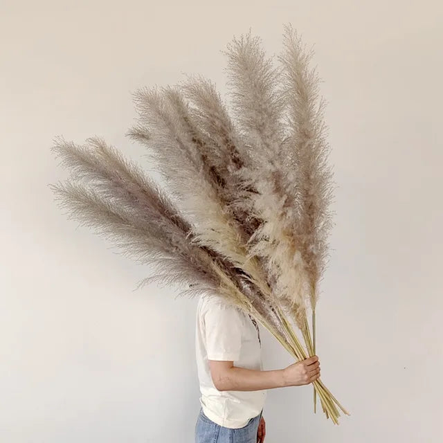 Natural Dried Pampas Grass for Elegant Home Decor