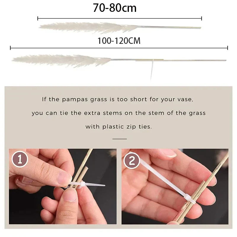 Natural Dried Pampas Grass for Elegant Home Decor