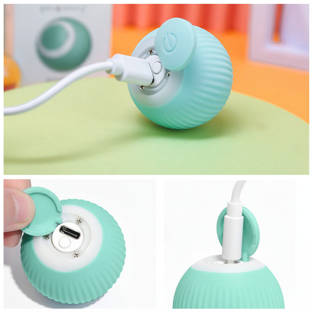 Engaging Indoor Cat Ball Toy for Active Playtime