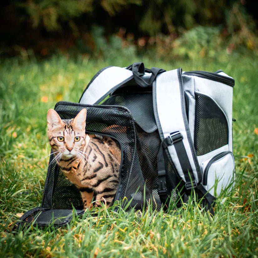 FelineVoyager Cozy Cat Carrier with Clear View Panel