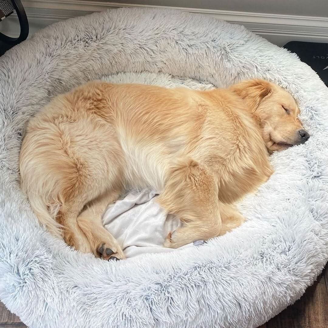 PlushPaw Serenity Faux Fur Dog Bed for Ultimate Comfort