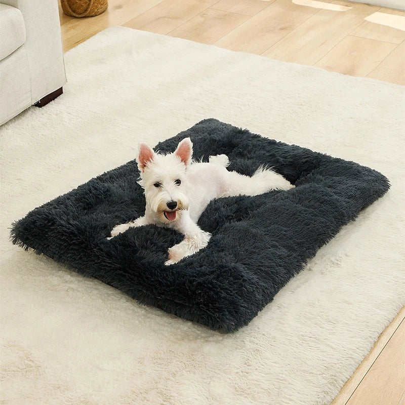 SnuggleNest Soft Cushion Bed for Ultimate Pet Relaxation
