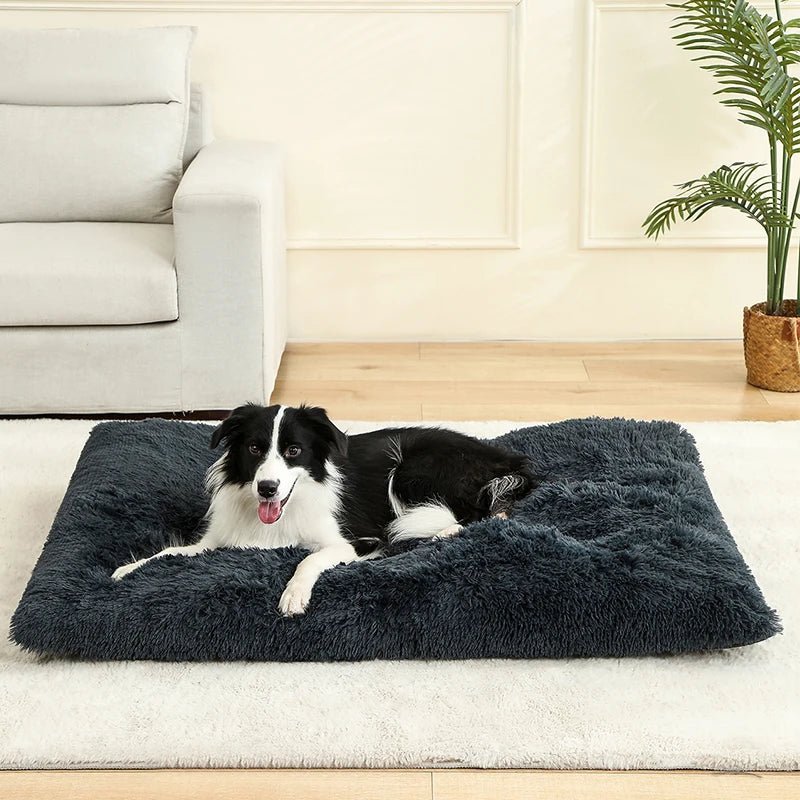 SnuggleNest Soft Cushion Bed for Ultimate Pet Relaxation