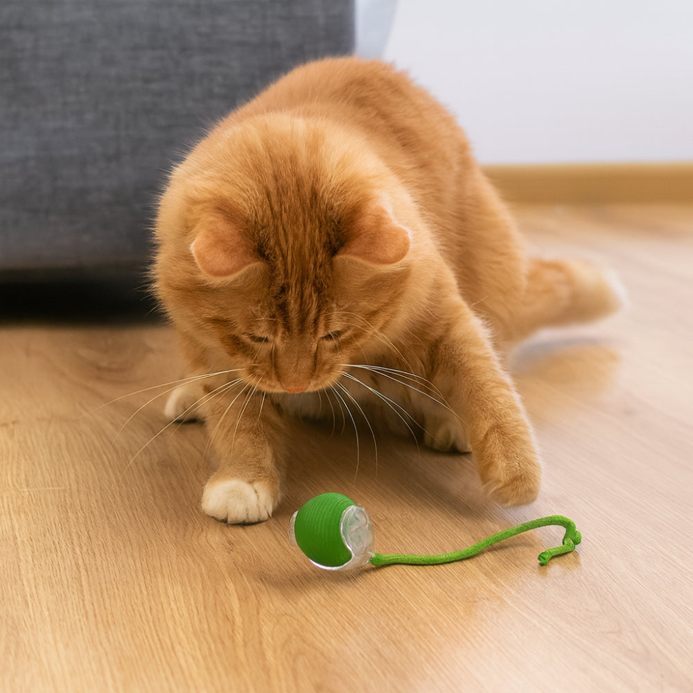 Pounce & Play Interactive Cat Chaser Ball