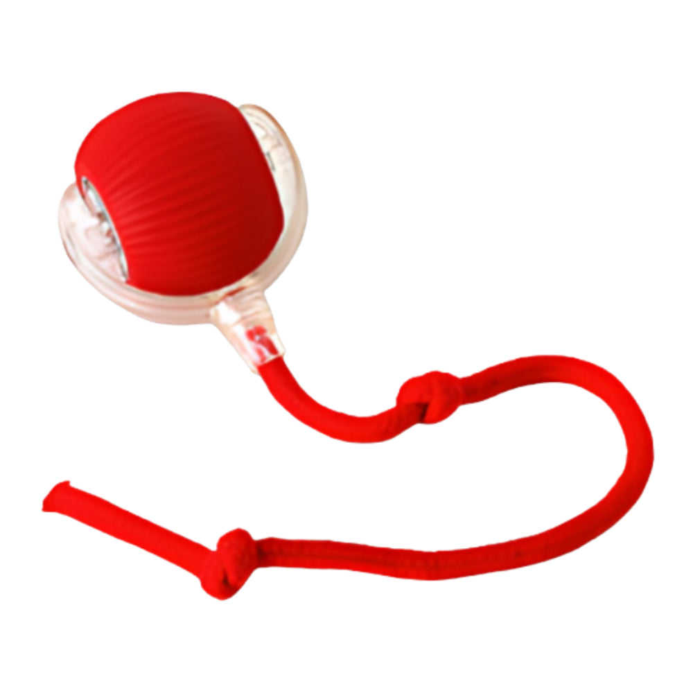Pounce & Play Interactive Cat Chaser Ball