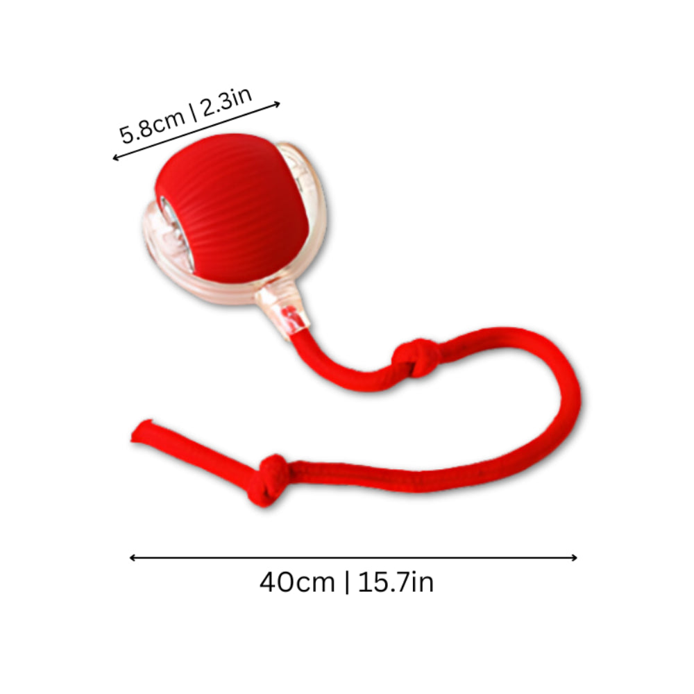 Pounce & Play Interactive Cat Chaser Ball