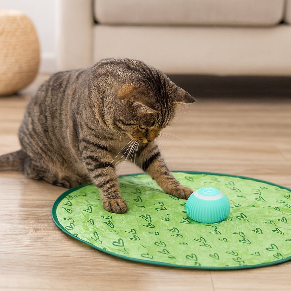 Engaging Feline Playset with Activity Mat and Motion Ball