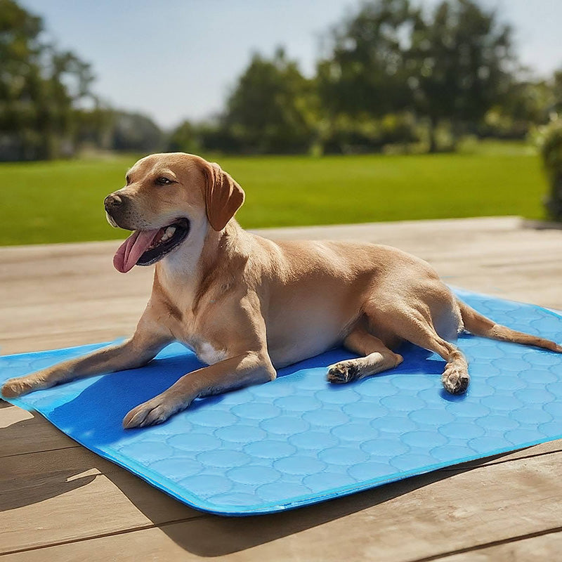 Self-Cooling Dog Mat - No Electricity Required for Hot Weather Comfort