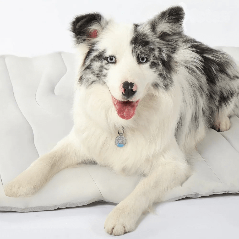 Self-Activating Gel Dog Cooling Mat for Immediate Comfort