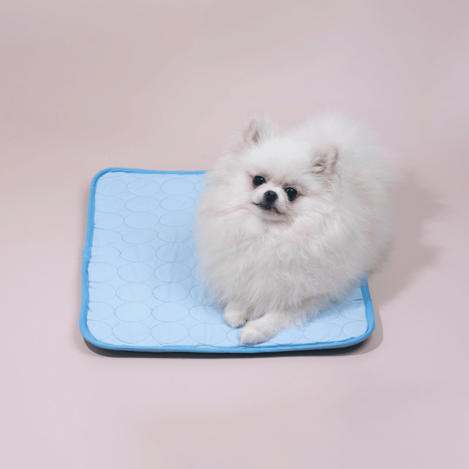Dog Cooling Mat with Enhanced 4X Cooling Power – Durable and Comfortable for Warm Weather
