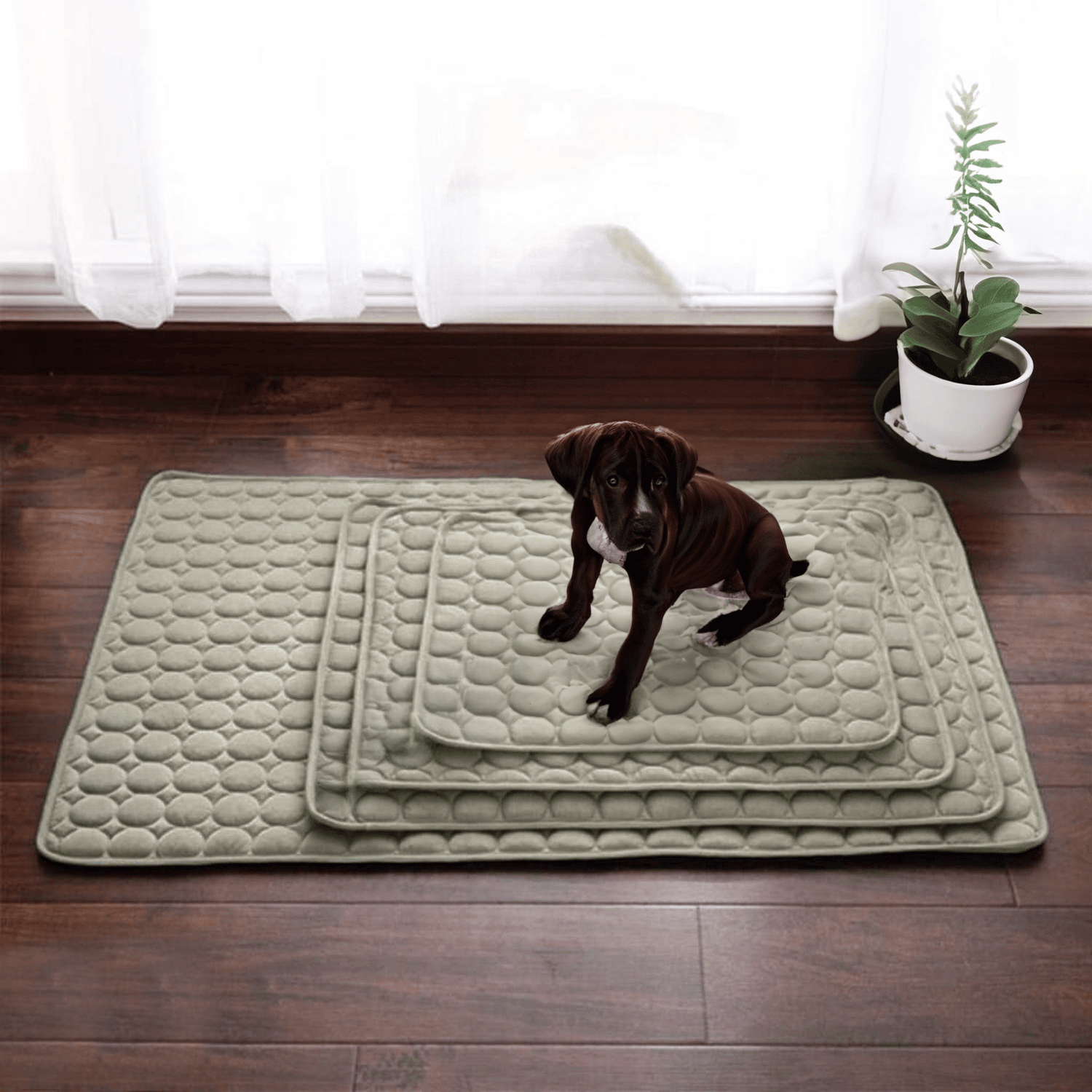 Dog Cooling Mat with Enhanced 4X Cooling Power – Durable and Comfortable for Warm Weather