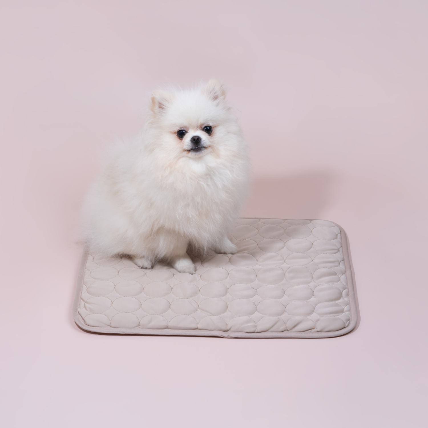 Dog Cooling Mat with Enhanced 4X Cooling Power – Durable and Comfortable for Warm Weather