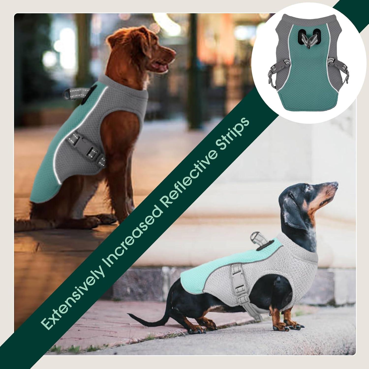 Adjustable Reflective Summer Harness for Dogs with Quick-Release Cooling Vest
