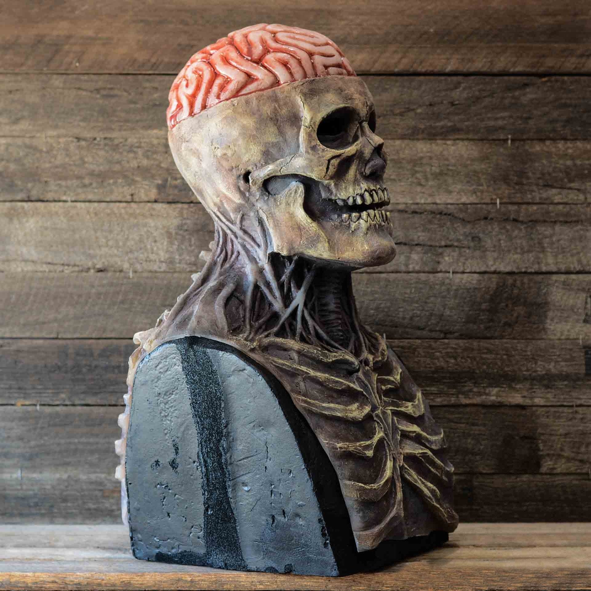 Realistic Skull Mask with Moving Jaw for Halloween - Creepy Skeleton Design