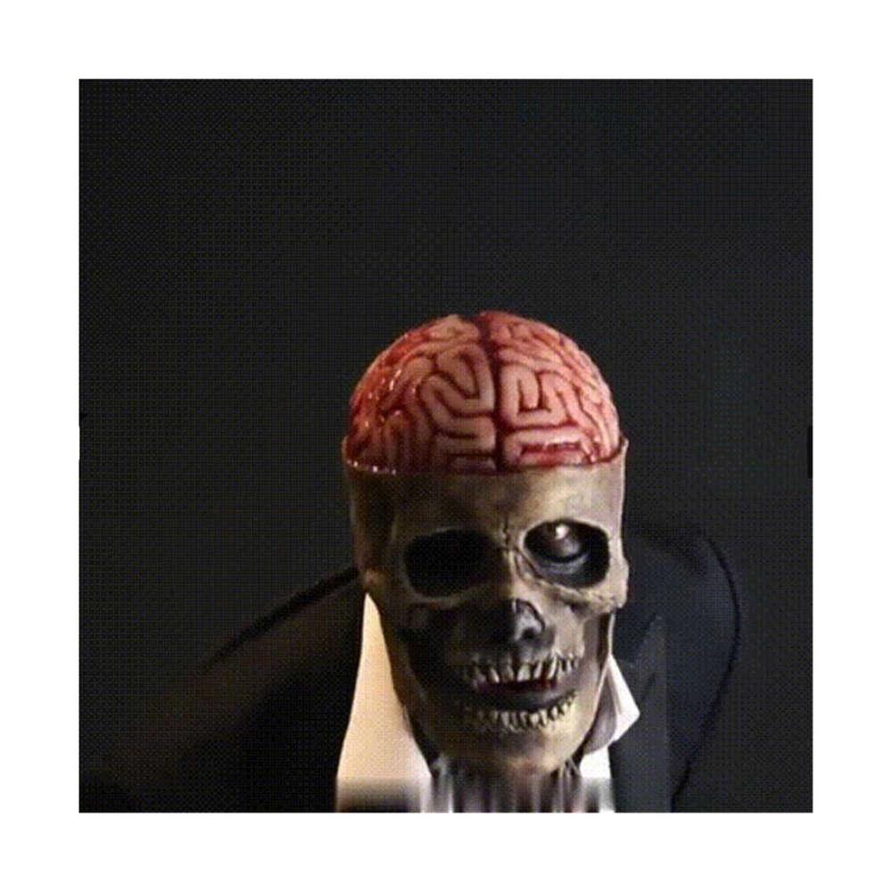 Realistic Skull Mask with Moving Jaw for Halloween - Creepy Skeleton Design