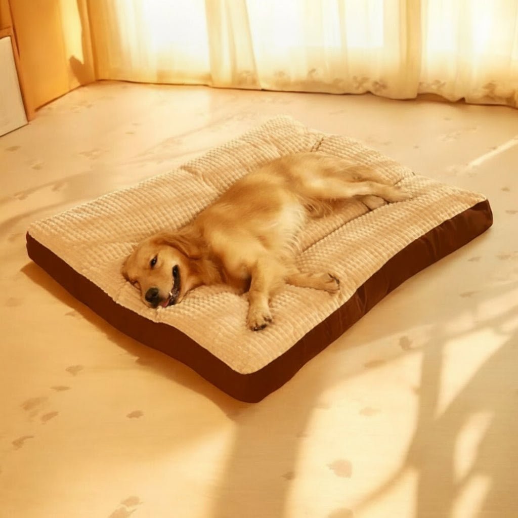 CozyCloud Comfort Dog Bed with Supportive Foam Core