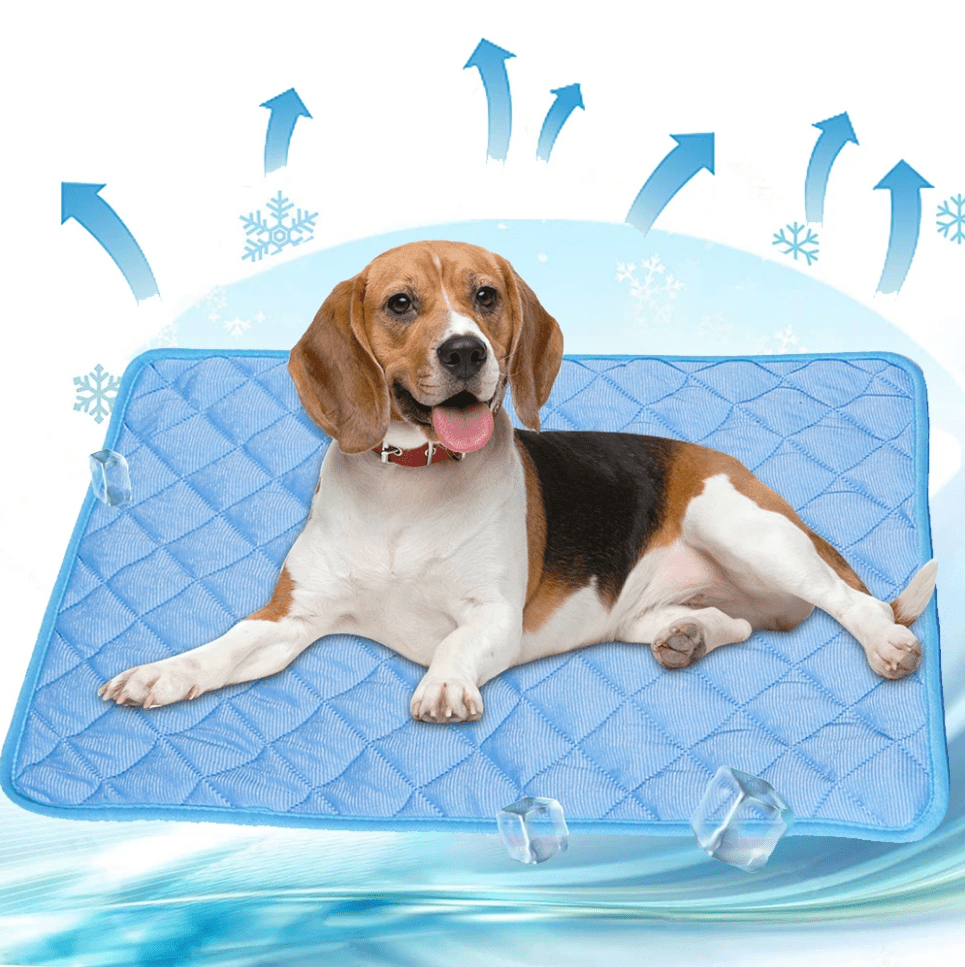 Cooling Mat for Dogs with Pressure-Activated Gel – Comfort for Warm Days