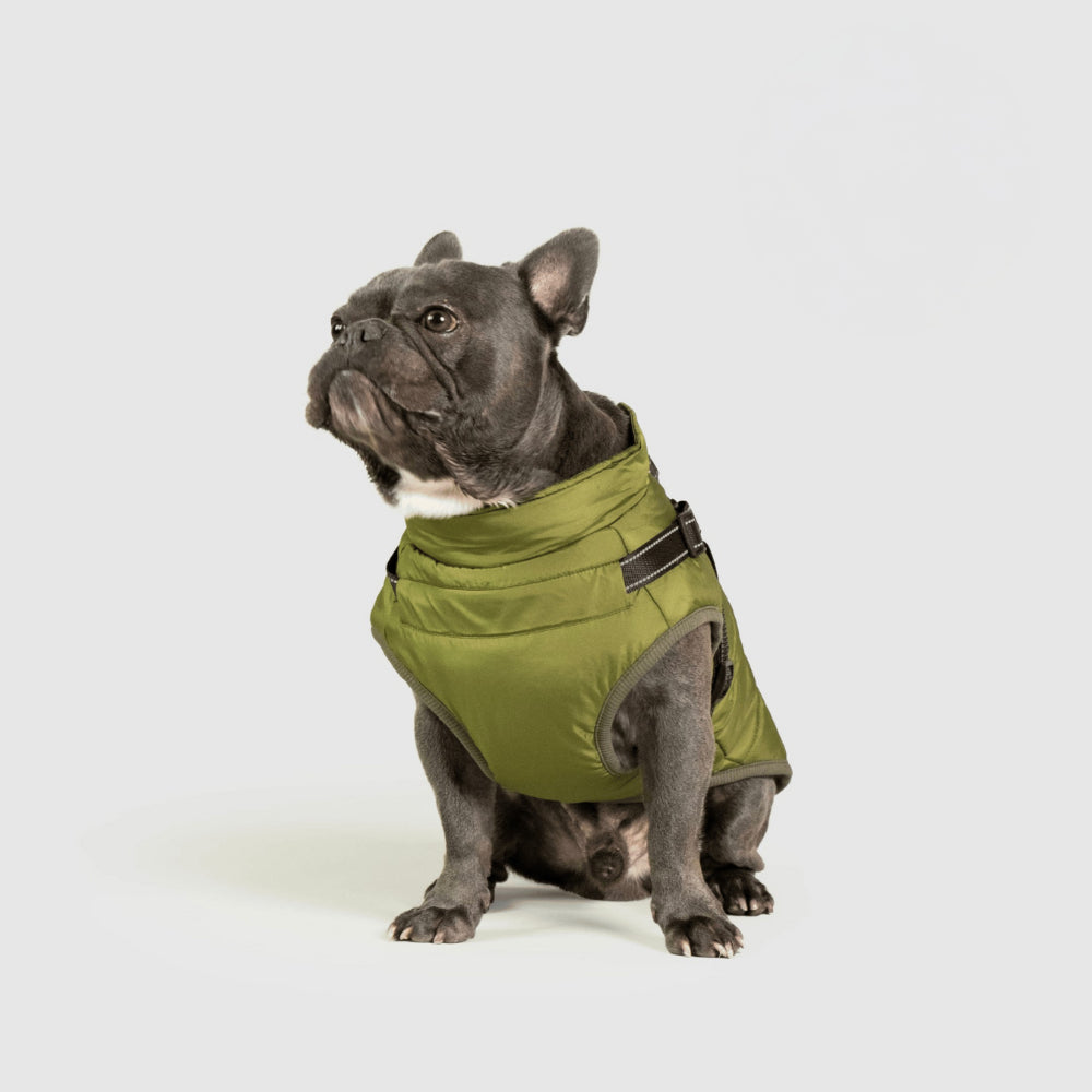 Ultimate Winter Jacket for Dogs: Versatile and Warm