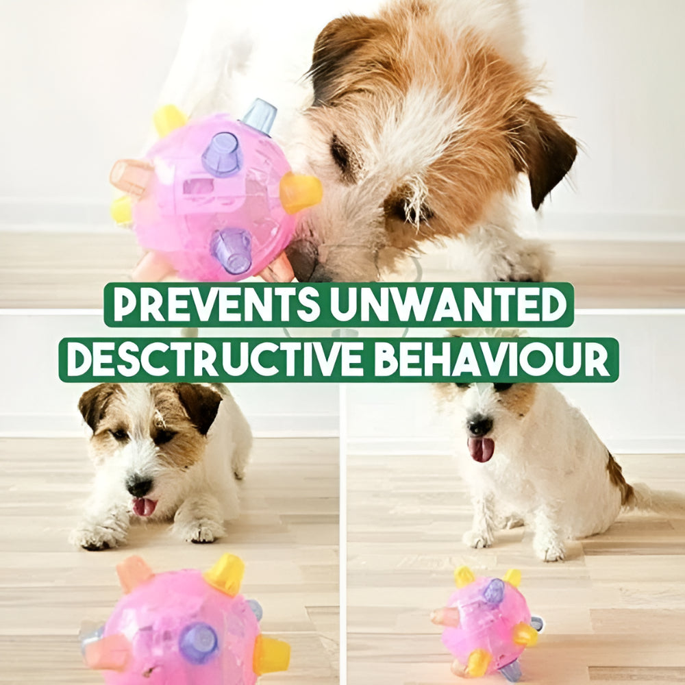 Exciting LED Bouncing Ball for Active Dogs