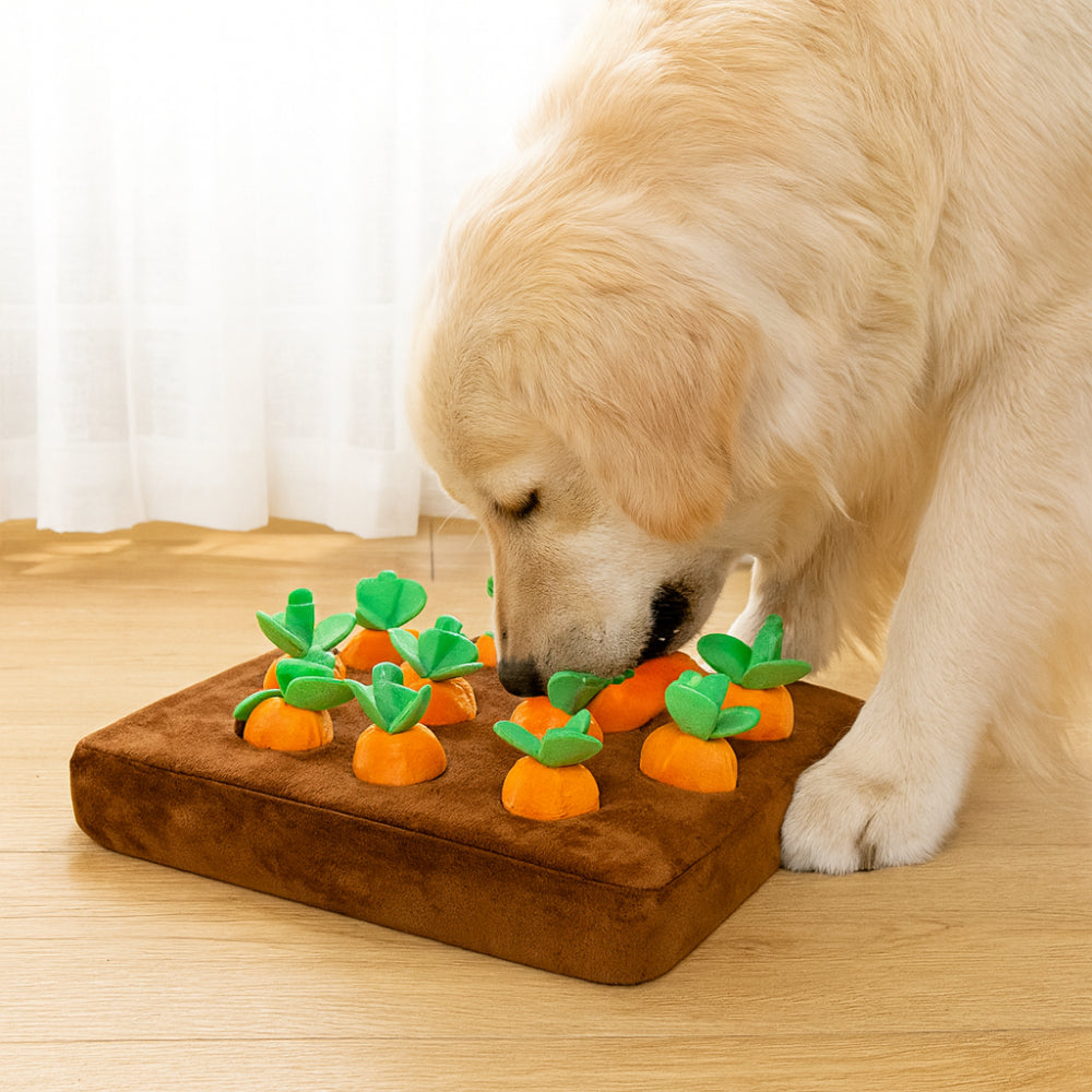 Engaging Snuffle Mat Dog Toy for Fun Treat Exploration