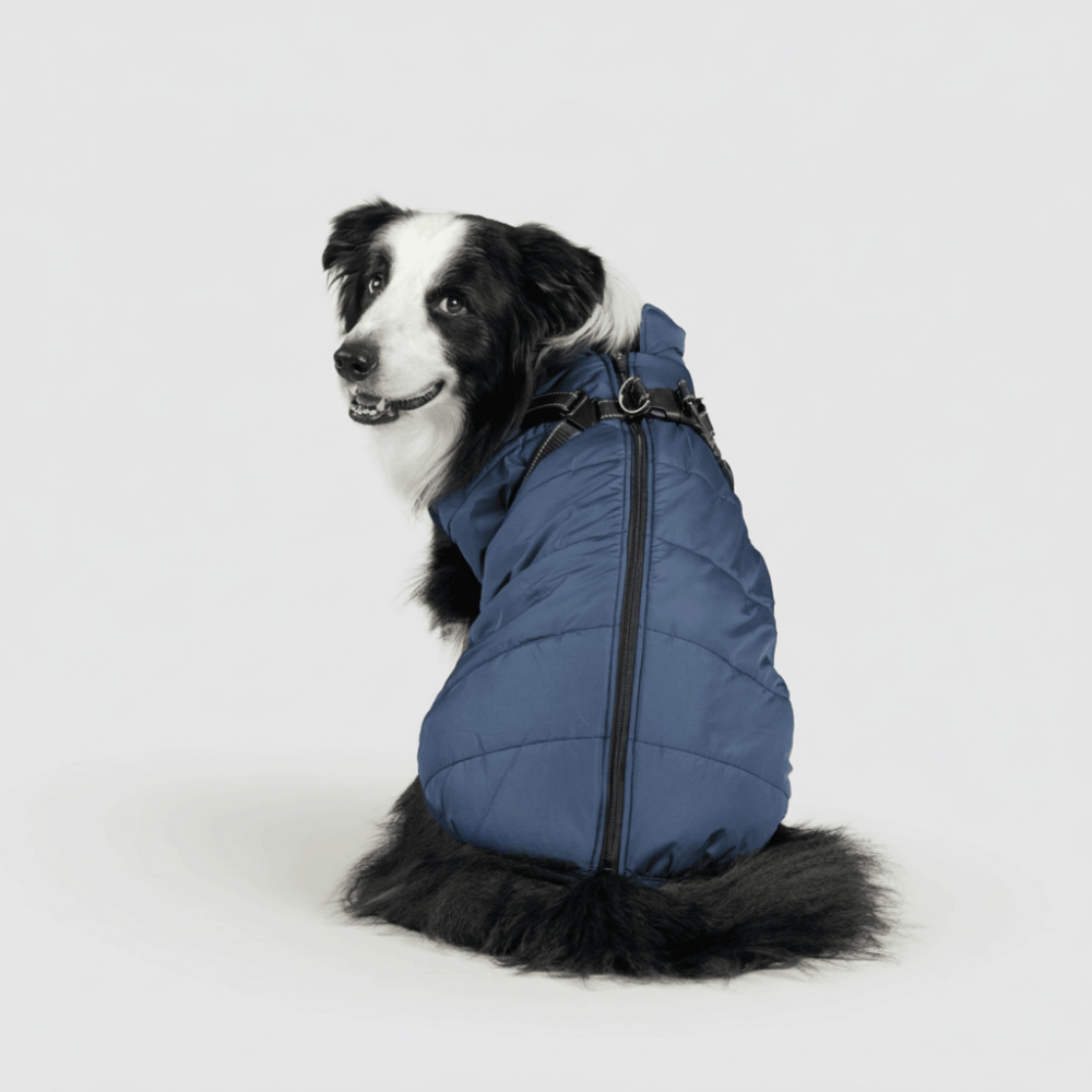 Ultimate Winter Jacket for Dogs: Versatile and Warm