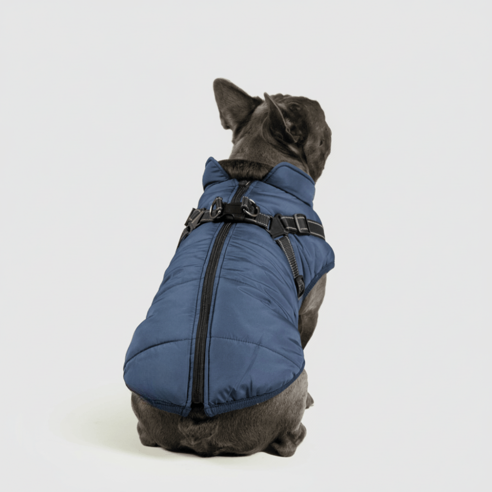 Ultimate Winter Jacket for Dogs: Versatile and Warm