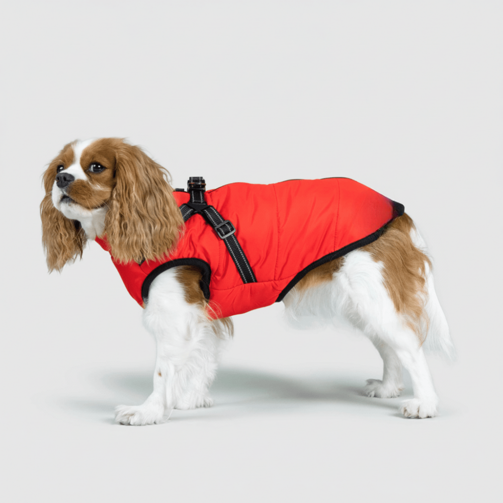 Ultimate Winter Jacket for Dogs: Versatile and Warm