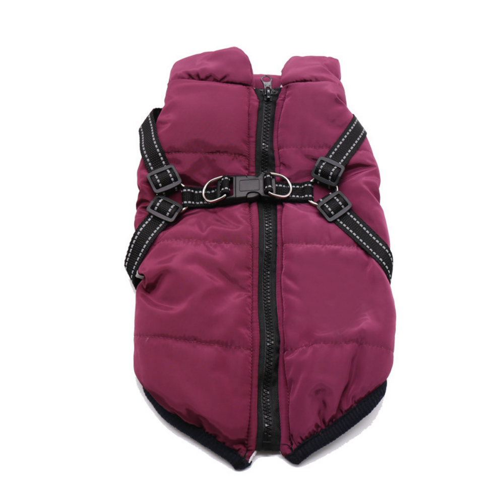 Ultimate Winter Jacket for Dogs: Versatile and Warm