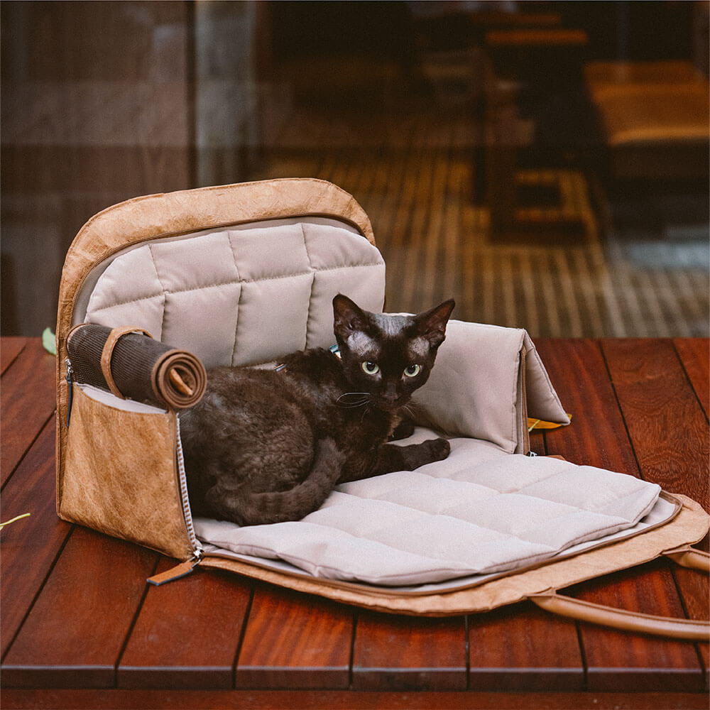 Pet Travel Carrier Bag with Expandable Storage | Safe and Stylish Design