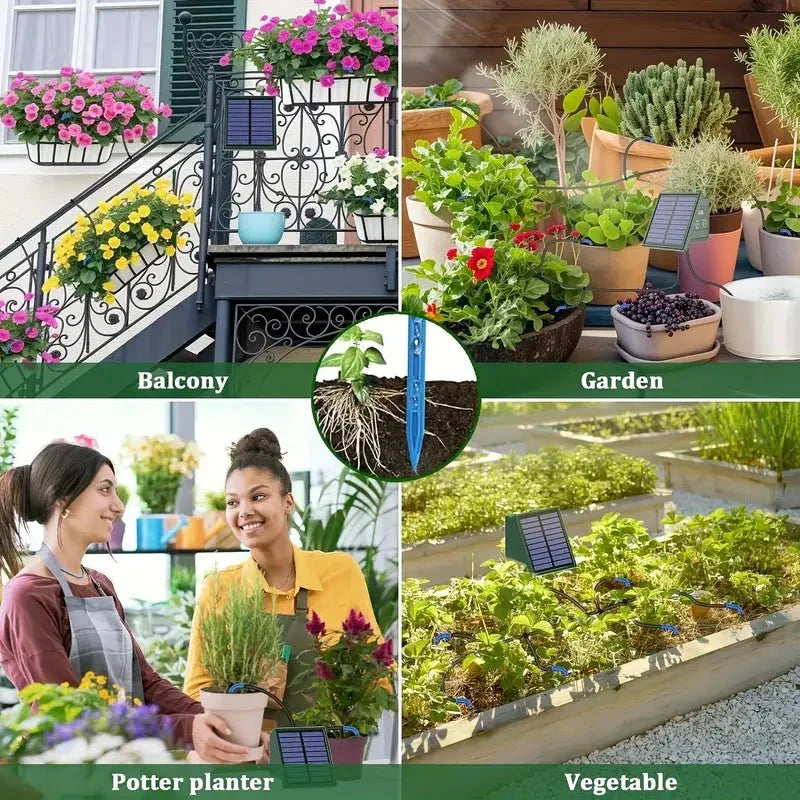 EcoFlow Solar-Powered Drip Irrigation Solution