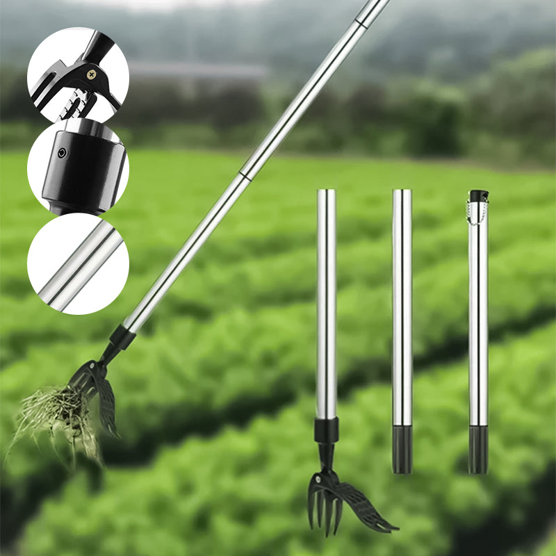 Stainless Steel Weed Puller Tool with Ergonomic Detachable Handle