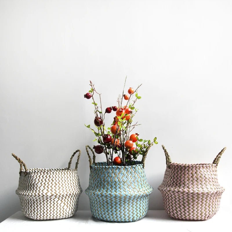Natural Charm Foldable Willow Basket for Plants & Storage