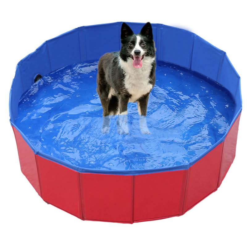 Collapsible Pet Pool | Non-Inflatable PVC Swimming Pool for Dogs