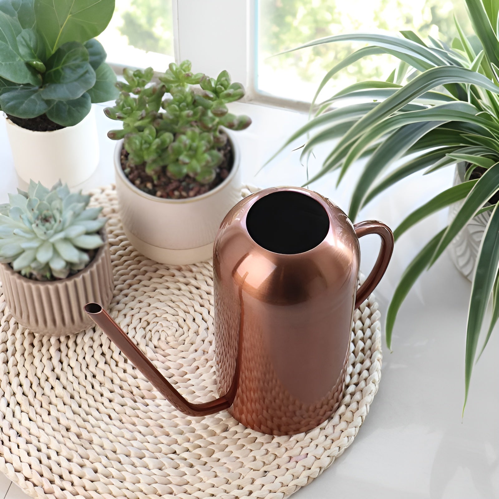 1.5L Metal Watering Can with Ergonomic Spout for Indoor Plants