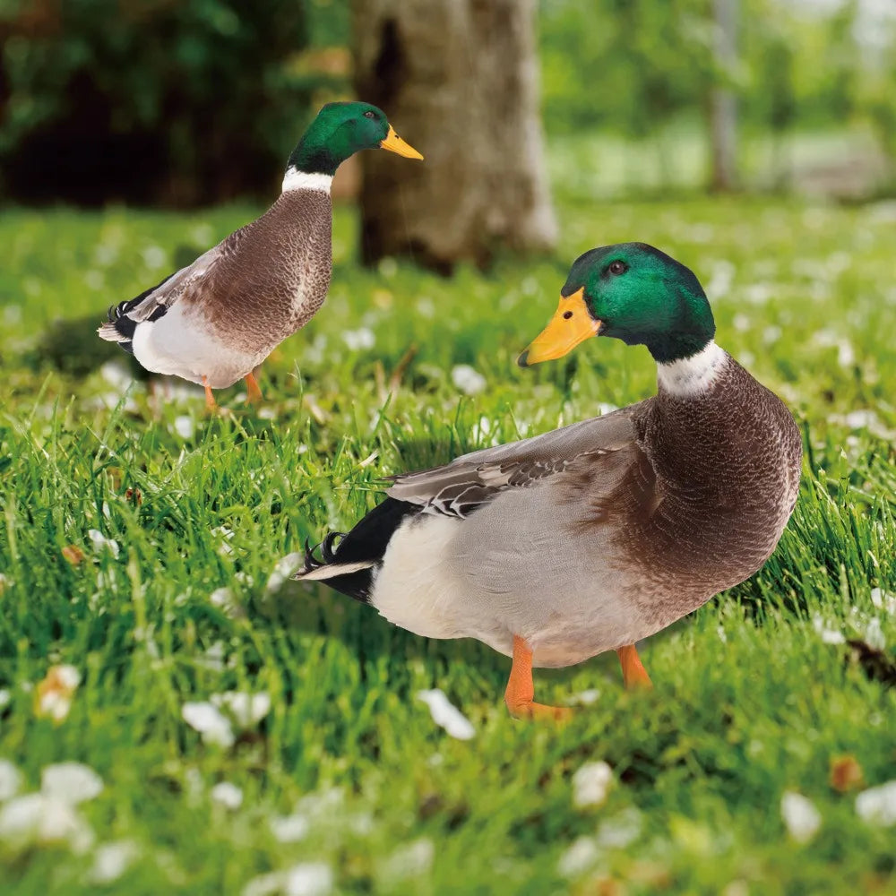 Garden Duck Ornament for Outdoor Decor