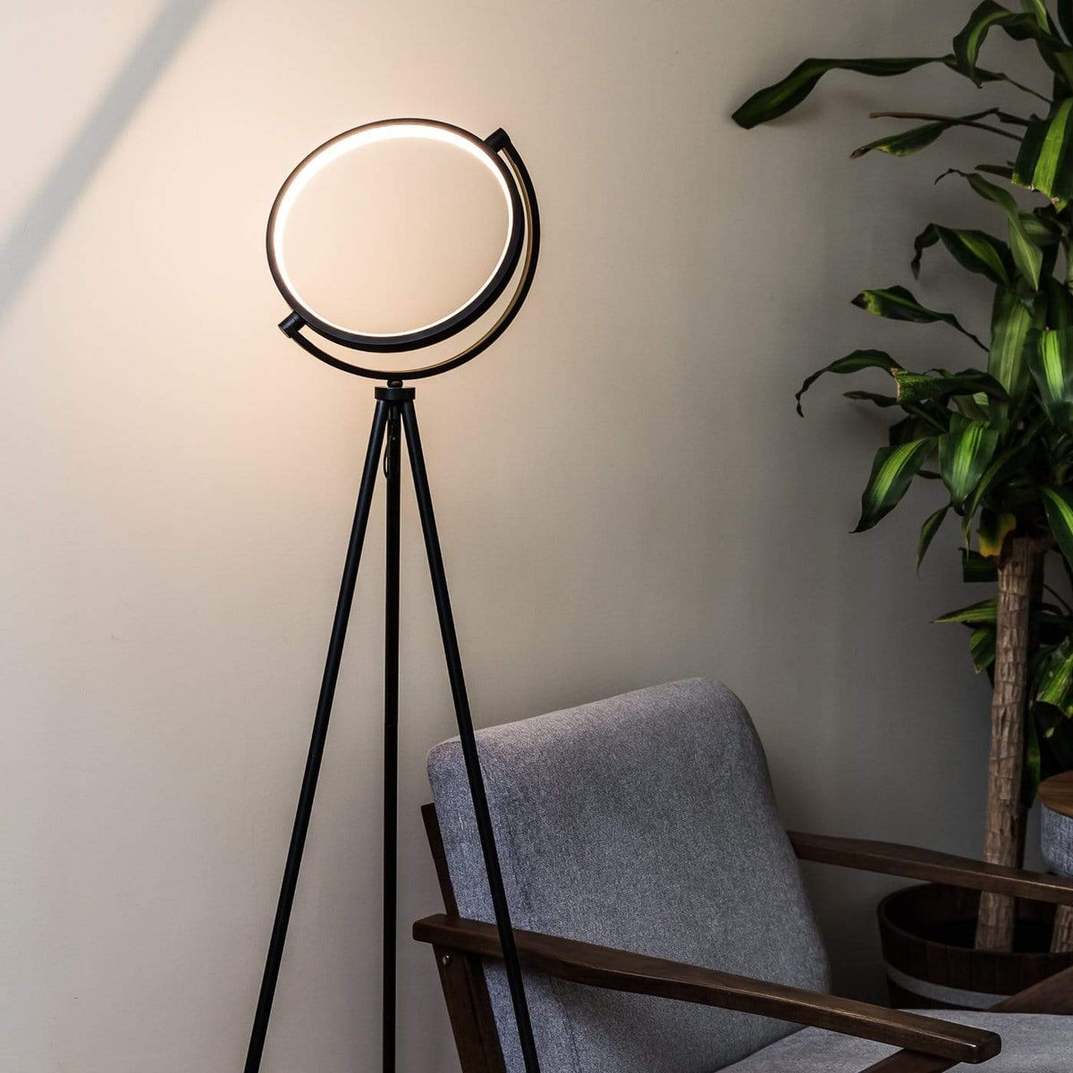 Sleek LED Circle Lamp for Elegant Home Lighting