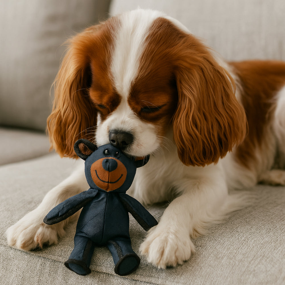 Long-Lasting Plush Bear Chew Toy for Endless Dog Fun